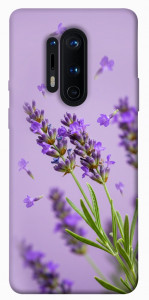 Чехол Lavender purple для OnePlus 8 Pro