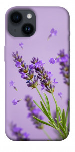 Чохол Lavender purple для iPhone 14