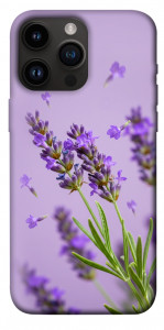 Чехол Lavender purple для iPhone 14 Pro Max