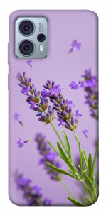 Чохол Lavender purple для Motorola Moto G23