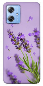 Чехол Lavender purple для Motorola Moto G84