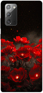 Чохол Burning flowers для Galaxy Note 20