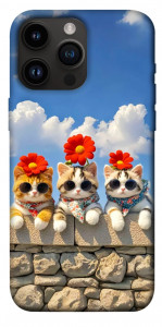 Чехол Flower cats для iPhone 14 Pro Max