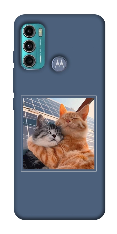 Чехол Кошачья нежность для Motorola Moto G60