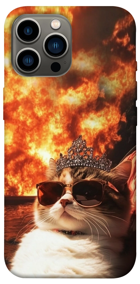 Чехол Cat explosion для iPhone 13 Pro Max