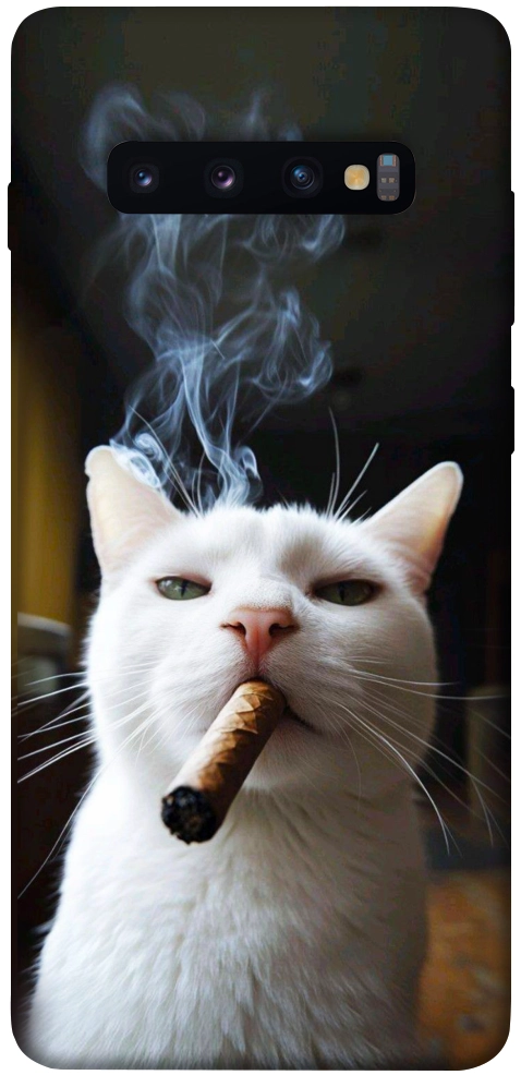 Чехол Cat cigar для Galaxy S10 Plus (2019)