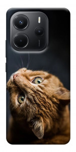 Чохол Рудий кіт для Xiaomi Redmi Note 14 4G (Europe version)