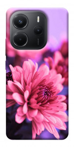 Чохол Ніжна хризантема для Xiaomi Redmi Note 14 4G (Europe version)