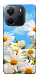 Чехол Ромашковое поле для Xiaomi Redmi Note 14 4G (Europe version)