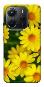 Чехол Yellow chamomiles для Xiaomi Redmi Note 14 4G (Europe version)