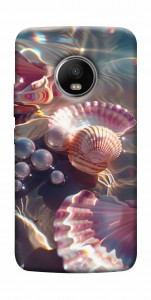 Чехол Яркие ракушки для Motorola Moto G5S