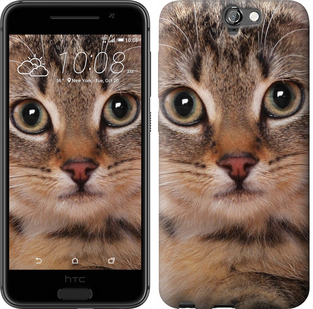 

Чохол Смугастий котик на HTC One A9 175583