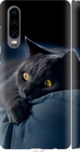 Чехол Дымчатый кот для Huawei P30
