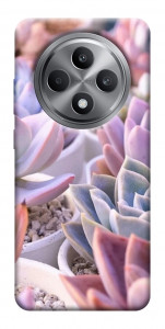 Чехол Эхеверия 2 для Oppo Reno 12 F 5G