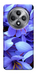 Чехол Фиолетовый сад для Oppo Reno 12 F 5G