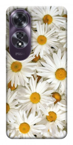 Чехол Chamomile для Oppo A60 4G