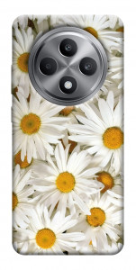 Чехол Chamomile для Oppo Reno 12 F 5G