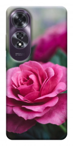 Чехол Роза в саду для Oppo A60 4G