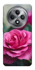 Чехол Роза в саду для Oppo Reno 12 F 5G