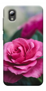 Чохол Троянда у саду для ZTE Blade A3 (2019)