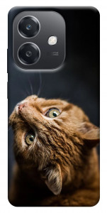 Чехол Рыжий кот для Oppo A40m