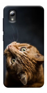 Чохол Рудий кіт для ZTE Blade A3 (2019)
