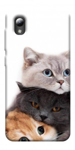 Чохол Три коти для ZTE Blade A3 (2019)