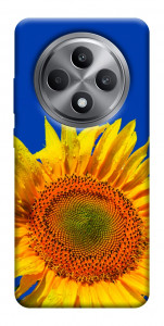 Чехол Sunflower для Oppo Reno 12 F 4G