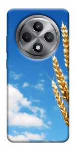 Чехол Пшеница для Oppo Reno 12 F 4G