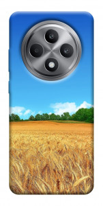 Чехол Пшеничное поле для Oppo Reno 12 F 4G