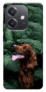 Чехол Собака в зелени для Oppo A40m