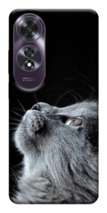 Чехол Cute cat для Oppo A60 4G