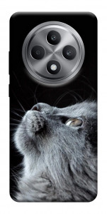 Чехол Cute cat для Oppo Reno 12 F 4G