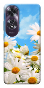 Чехол Ромашковое поле для Oppo A60 4G