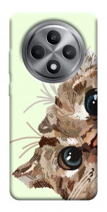 Чехол Cat muzzle для Oppo Reno 12 F 4G