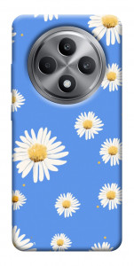 Чехол Chamomile pattern для Oppo Reno 12 F 4G