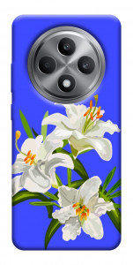 Чехол Three lilies для Oppo Reno 12 F 4G