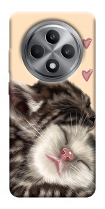 Чехол Cats love для Oppo Reno 12 F 4G