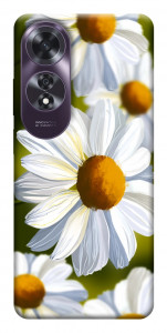 Чехол Ароматная ромашка для Oppo A60 4G