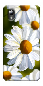 Чохол Ароматна ромашка для ZTE Blade A3 (2019)