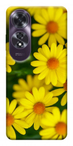 Чехол Yellow chamomiles для Oppo A60 4G