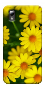 Чохол Yellow chamomiles для ZTE Blade A3 (2019)