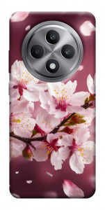 Чехол Sakura для Oppo Reno 12 F 4G