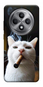 Чехол Cat cigar для Oppo Reno 12 F 4G