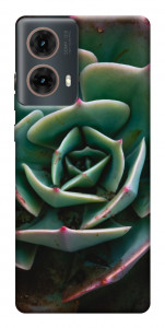 Чохол Ехеверія для Motorola Moto G85