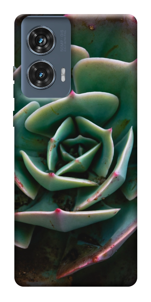 Чехол Эхеверия для Motorola Edge 50 Fusion