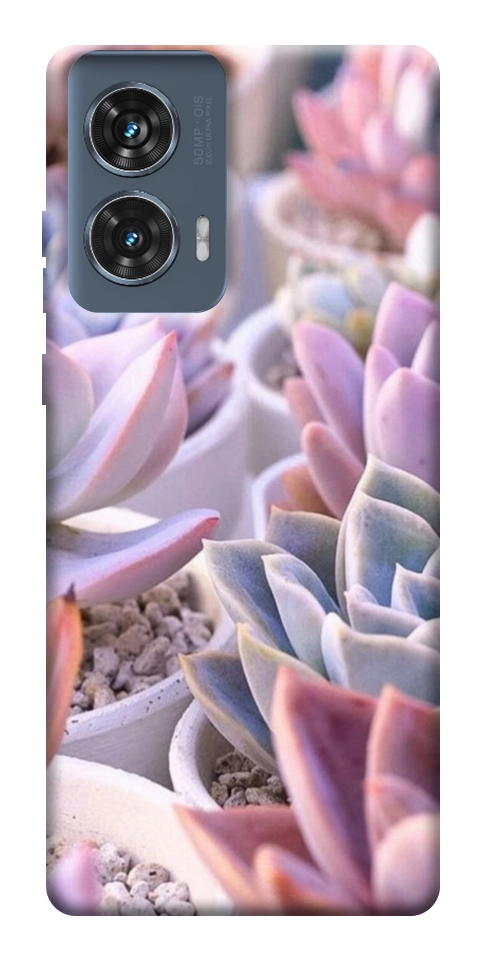 Чехол Эхеверия 2 для Motorola Edge 50 Fusion