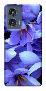 Чехол Фиолетовый сад для Motorola Edge 50 Fusion
