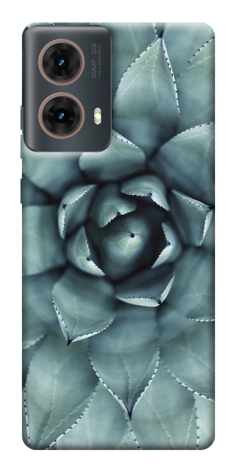 Чохол Сукуленти для Motorola Moto G85