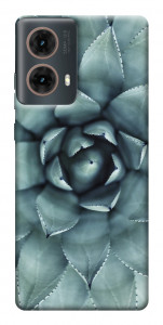Чохол Сукуленти для Motorola Moto G85